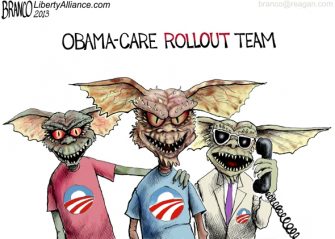 Obama-care Rollout Team