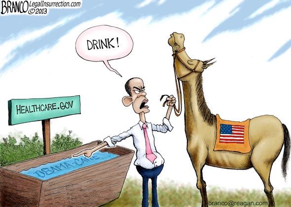 Obama and Healthcare.gov political cartoon