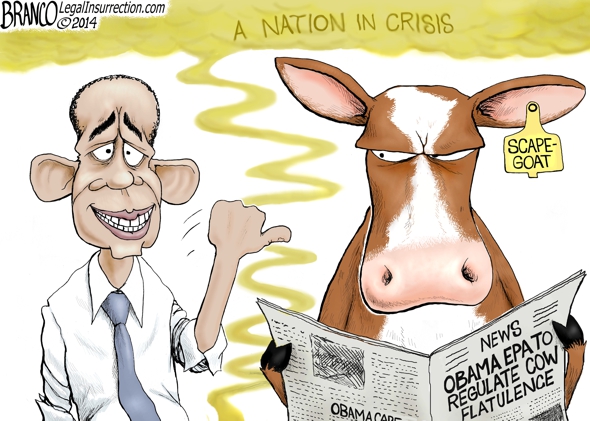 Obama Cow Flatulence
