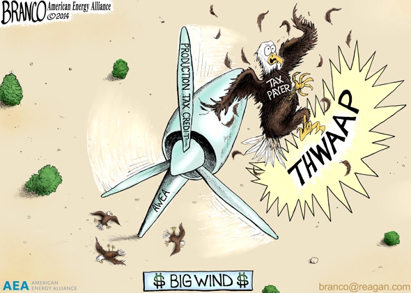 Wind Power Killing Eagles