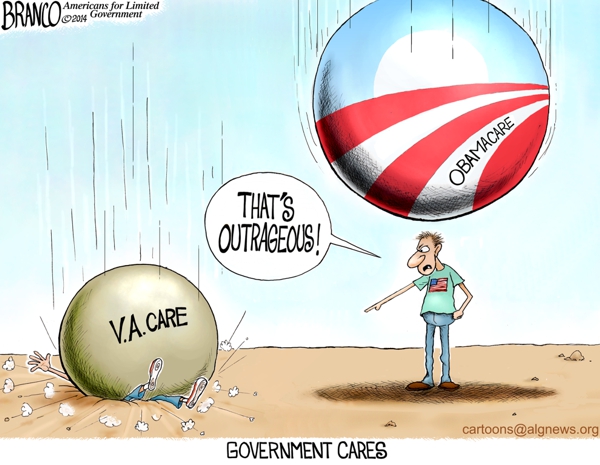 Government care