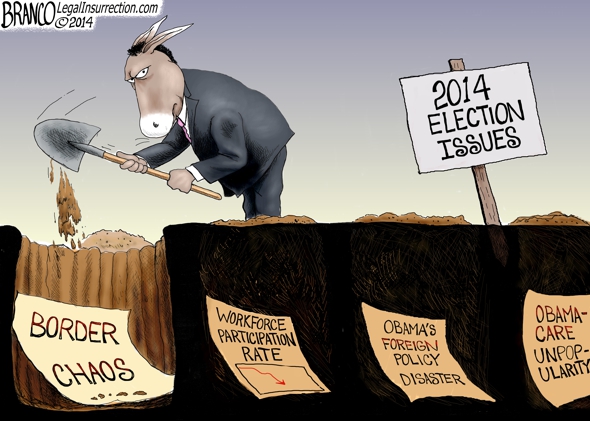 Election Issues 2014 Cartoon
