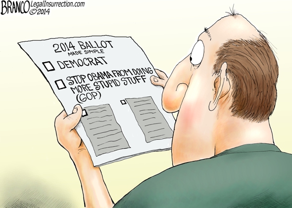 Mid Term Election 2014 – Political Cartoon