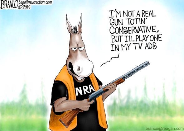 Democrats for Gun Rights