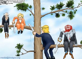 Out On A Limb