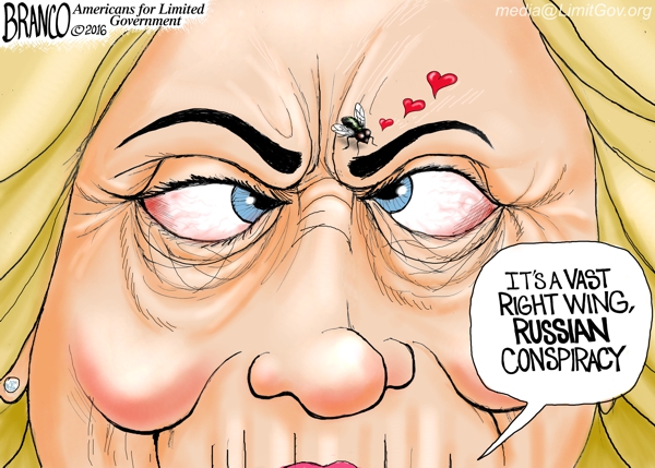 Fly on Hillary’s Face