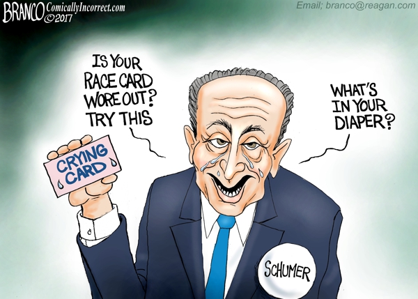 Schumer Crying