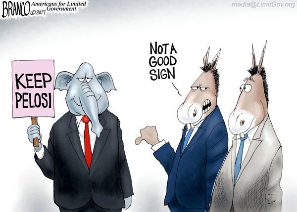 Republicans For Pelosi