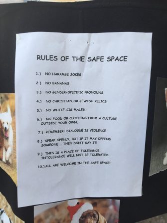 LOL! Rules of the Safe Space!