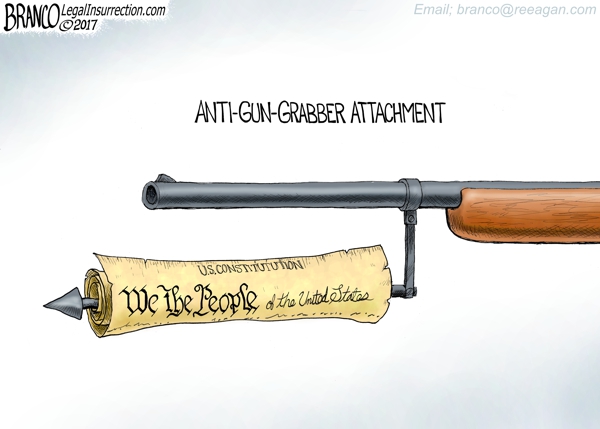 Constitution Gun Attachment