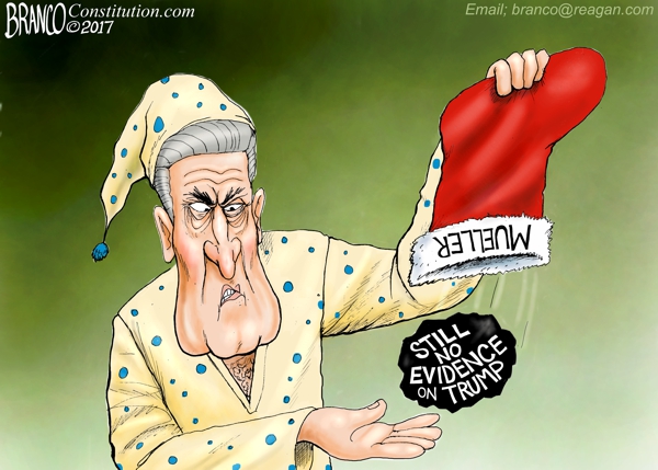 Mueller Christmas Stocking