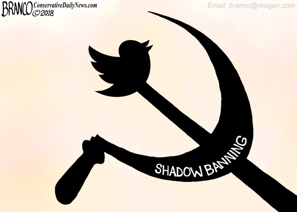 Twitter Shadow Banning