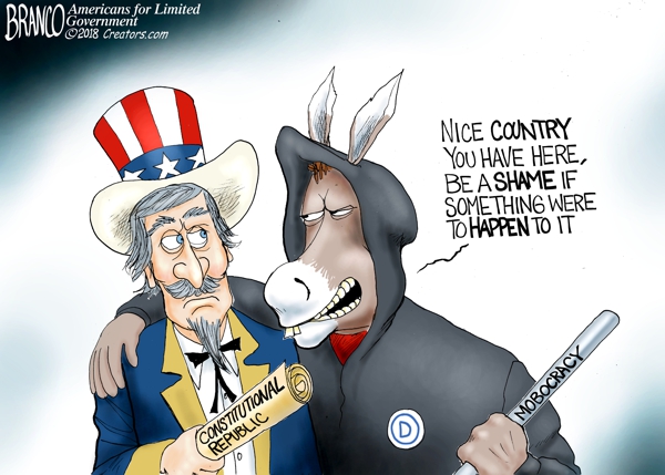 Democrats are a Mobocracy