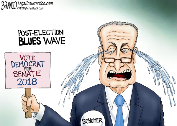Schumer Post-election Blues Wave