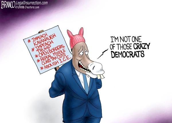 Crazy Radical Democrats 2018
