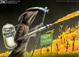 A.F. Branco Cartoon – Fuel for Thought
