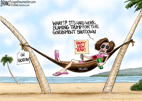 Nancy Spends Shutdown in Hawaii