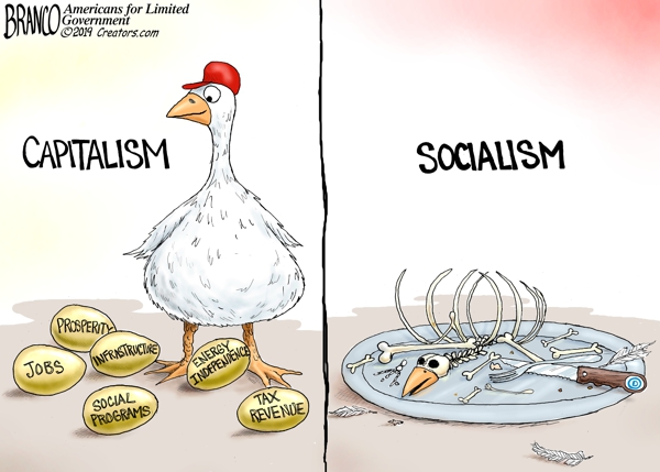 Golden Capitalism Goose and Socialism