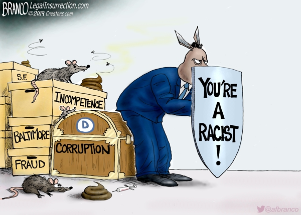 Democrats Use Racist as Cover