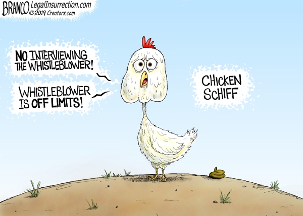 Chicken Schiff