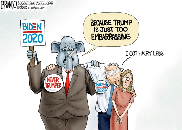 Never Trumper Republicans for Biden