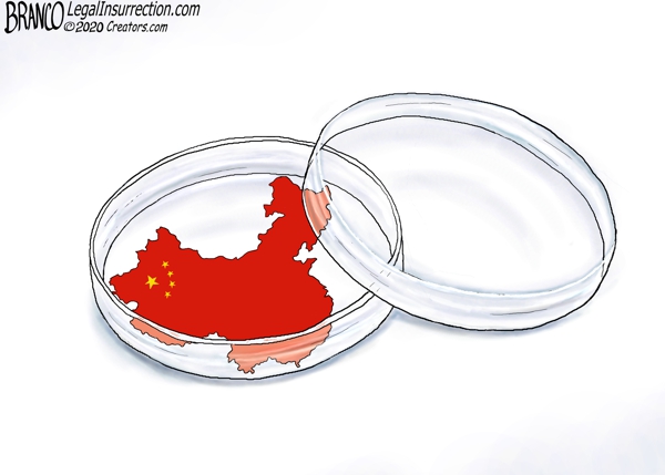 China is a Petri Dish