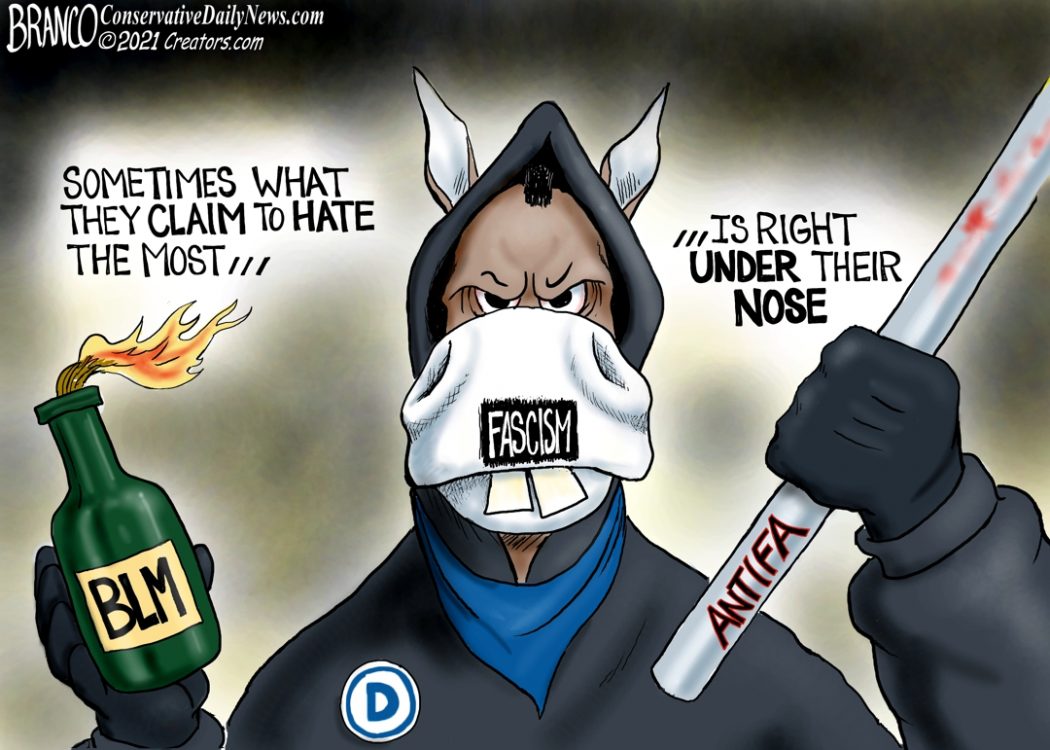 Democrat Fascism