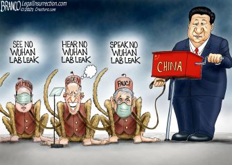 A.F. Branco Cartoon – Monkey Business