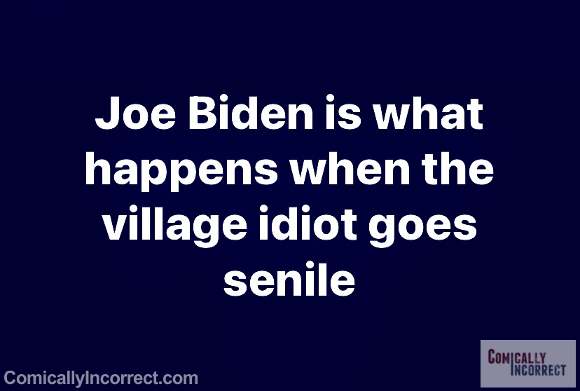 Village Idiot as President