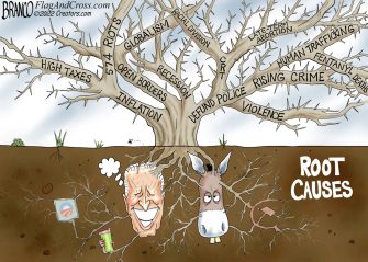 A.F. Branco Cartoon – Root Causes