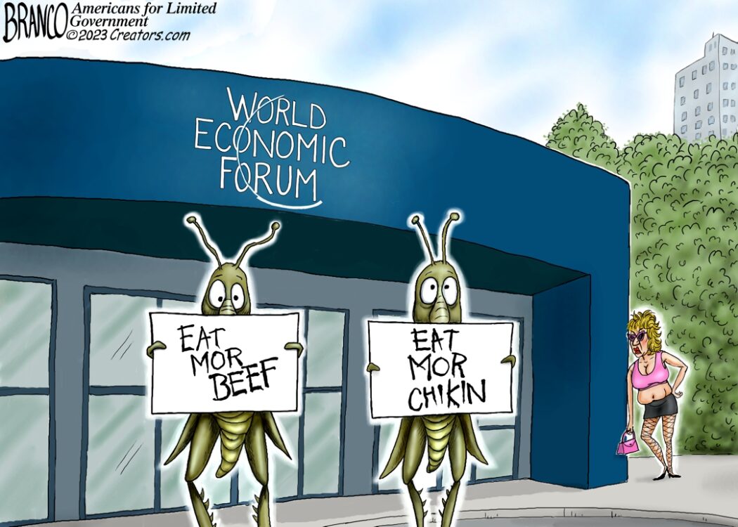 World Economic Forum Cartoon
