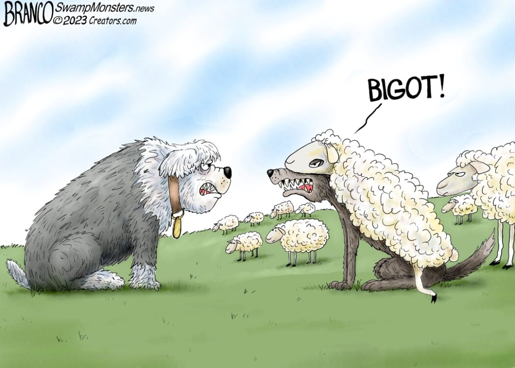 Democrats in Sheep’s Clothing