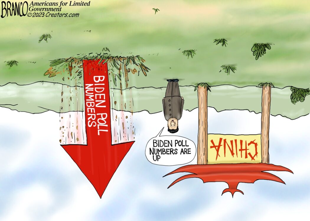 Biden Polls Falling