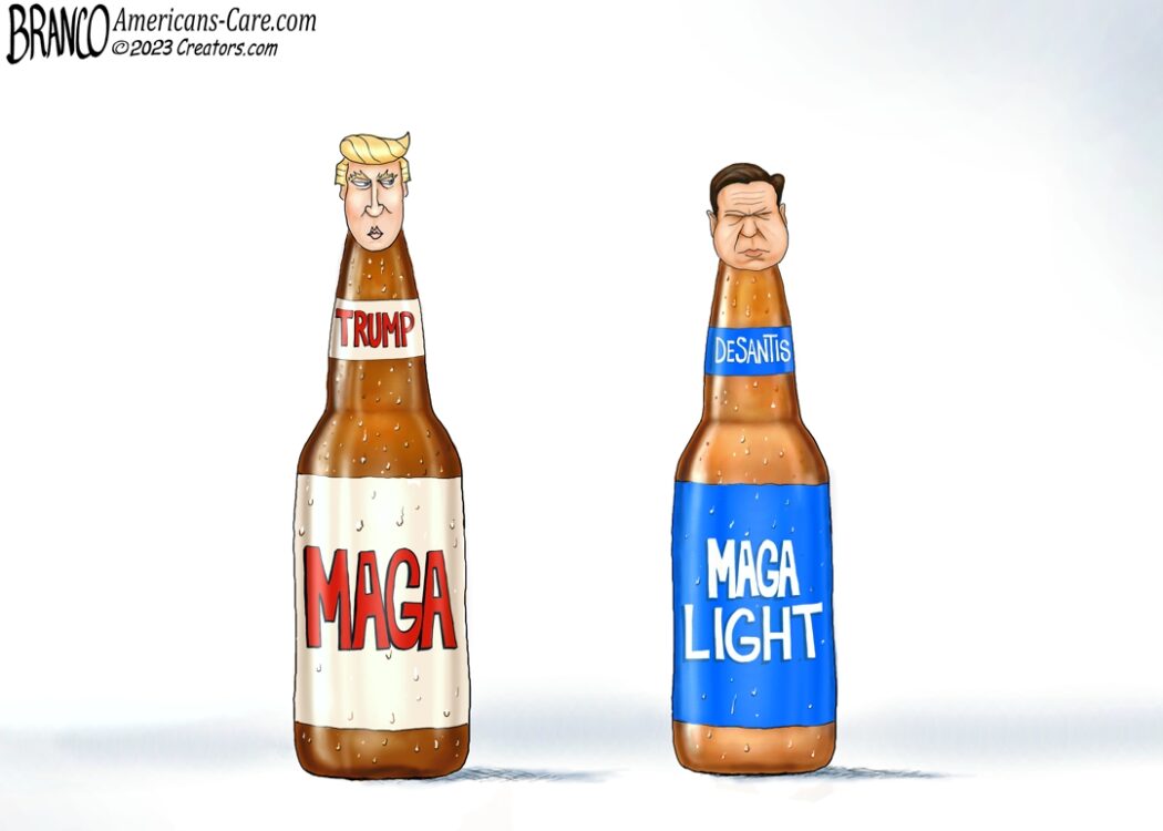 MAGA and MAGA Light