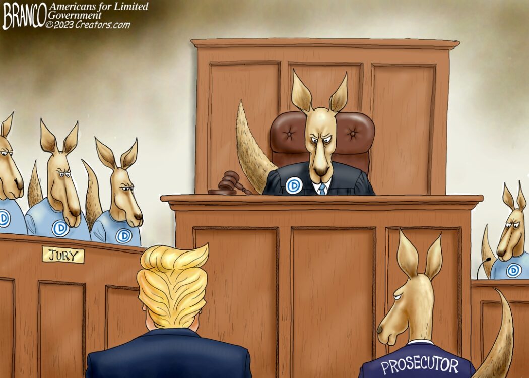 Kangaroo Trump Court Cartoon