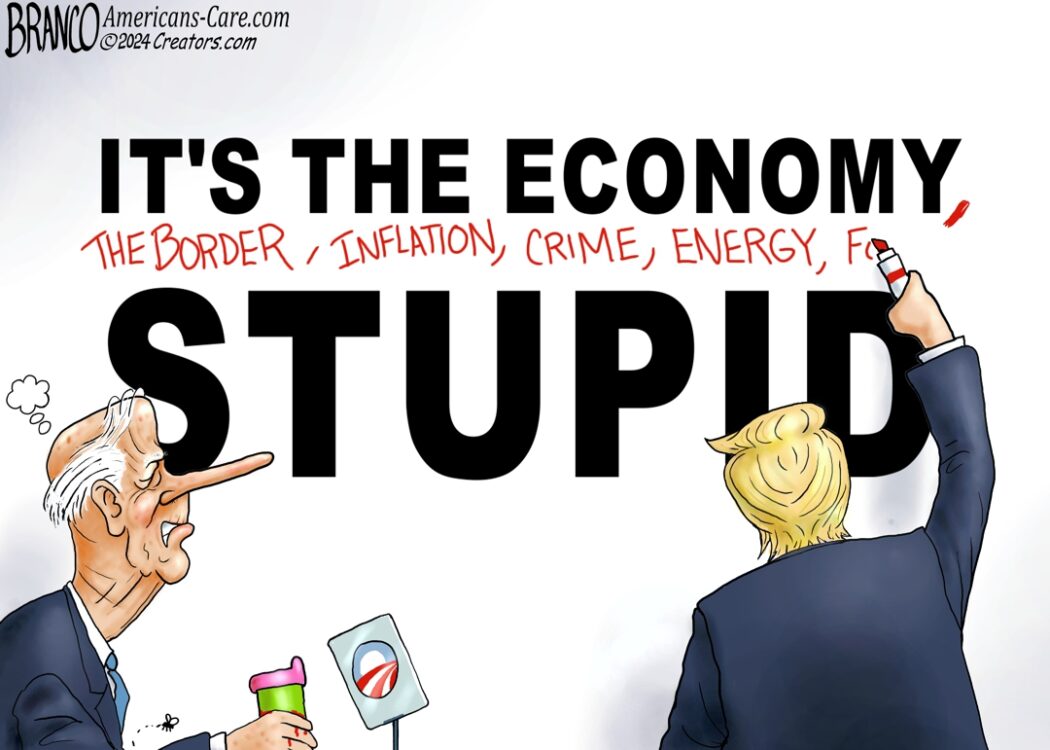 It's The Economy Stupid Cartoon
