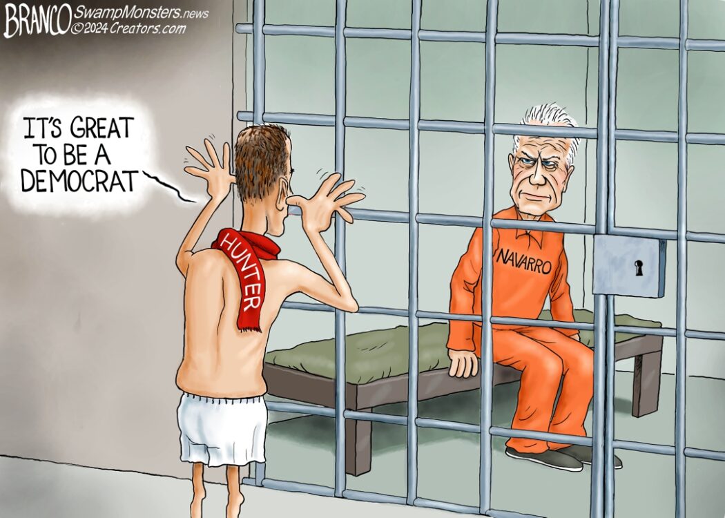 Peter Navarro Goes to Prison – Cartoon