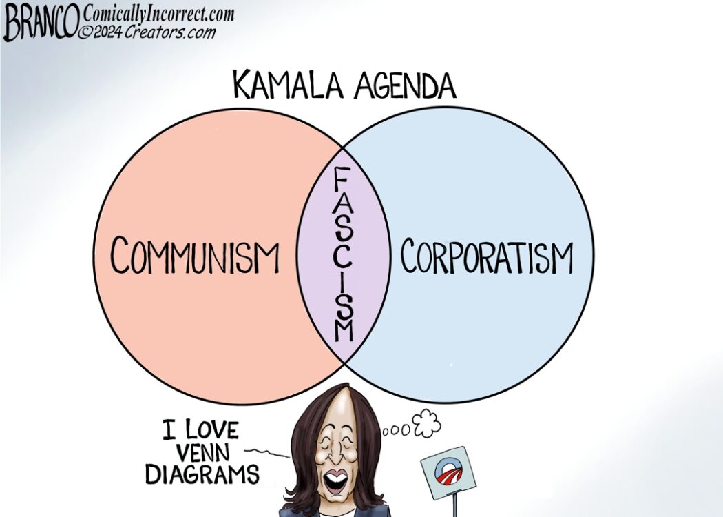 Kamala Venn Diagram