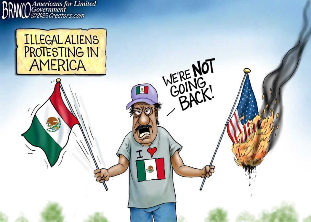 Illegals In America