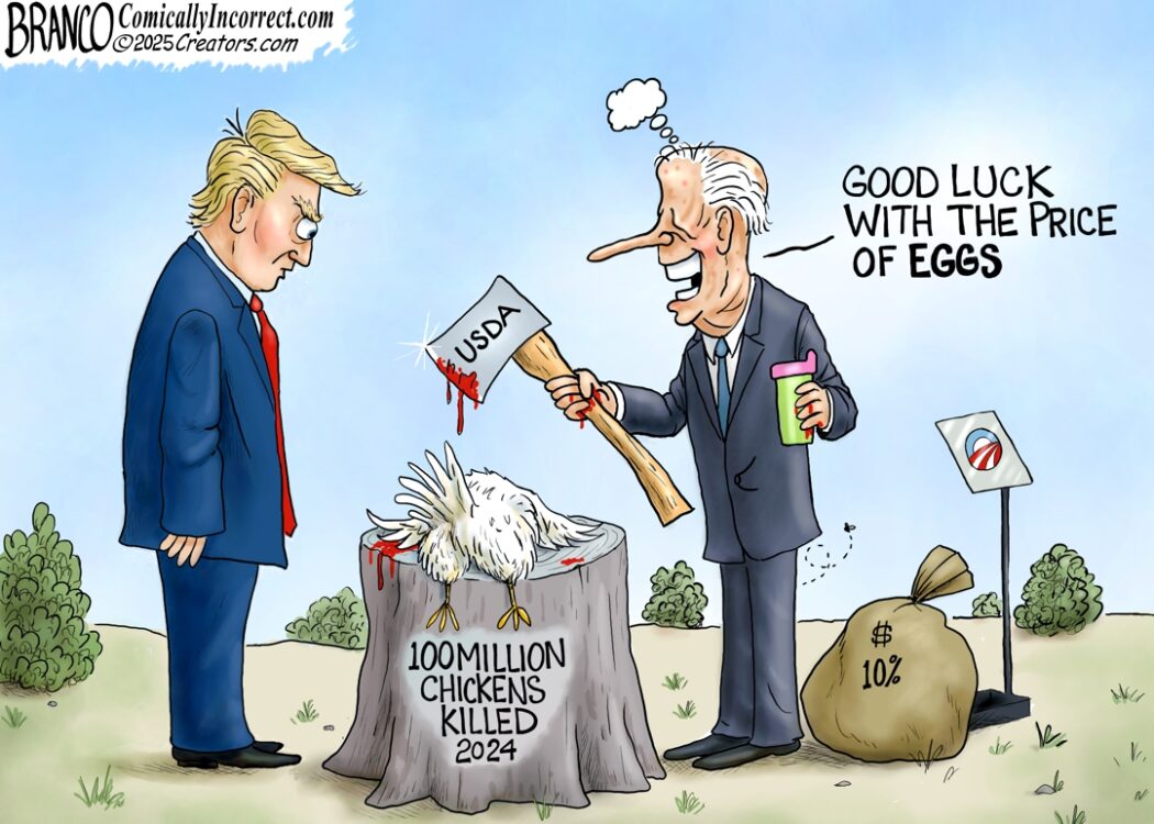 Egg Shortage caused by Biden