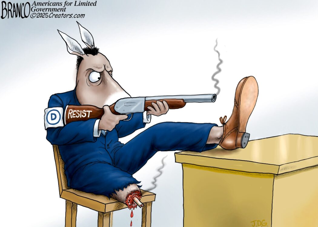 Democrats Shooting themseves