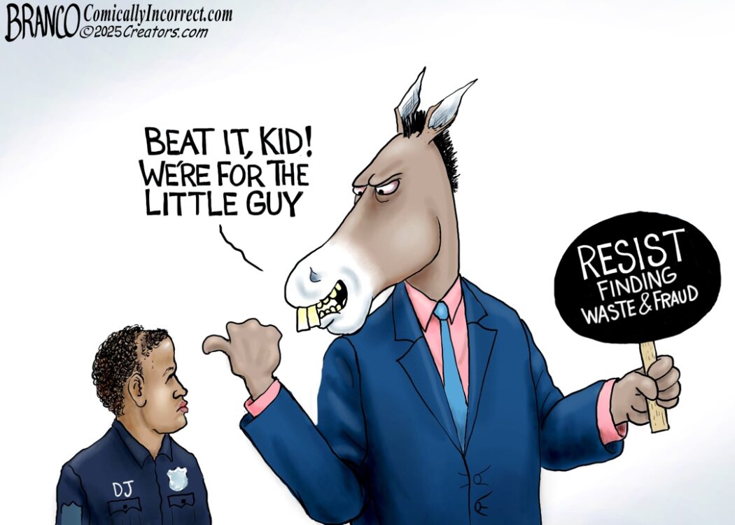 Democrats Aren’t For the Little Guy