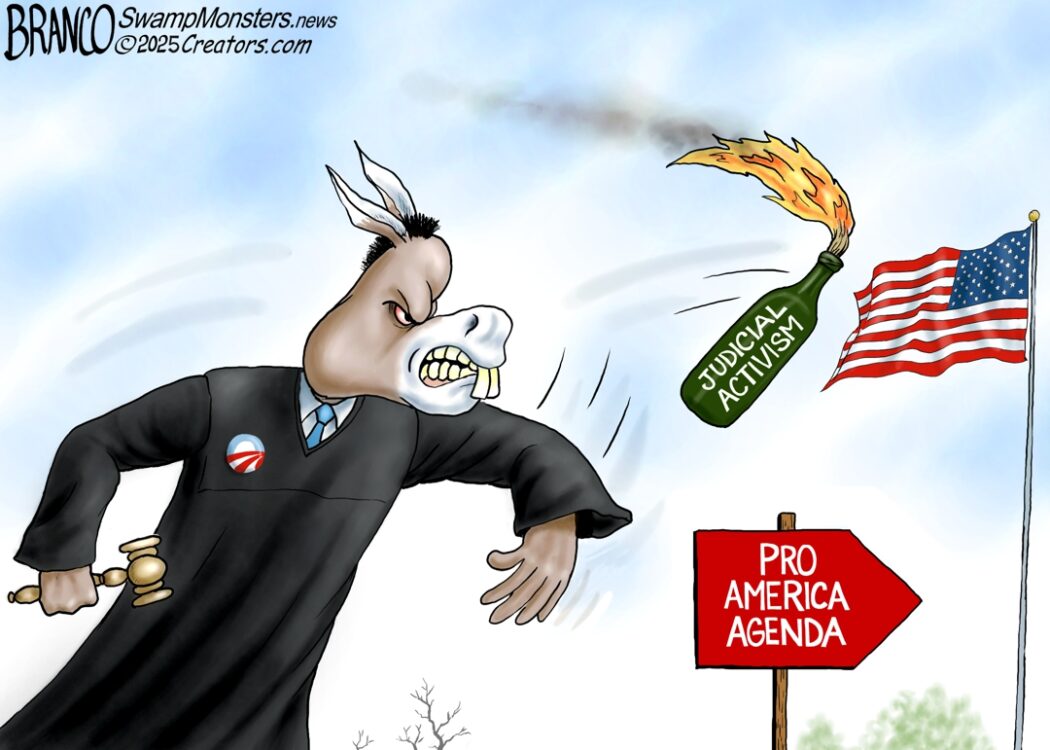 Activist Judges