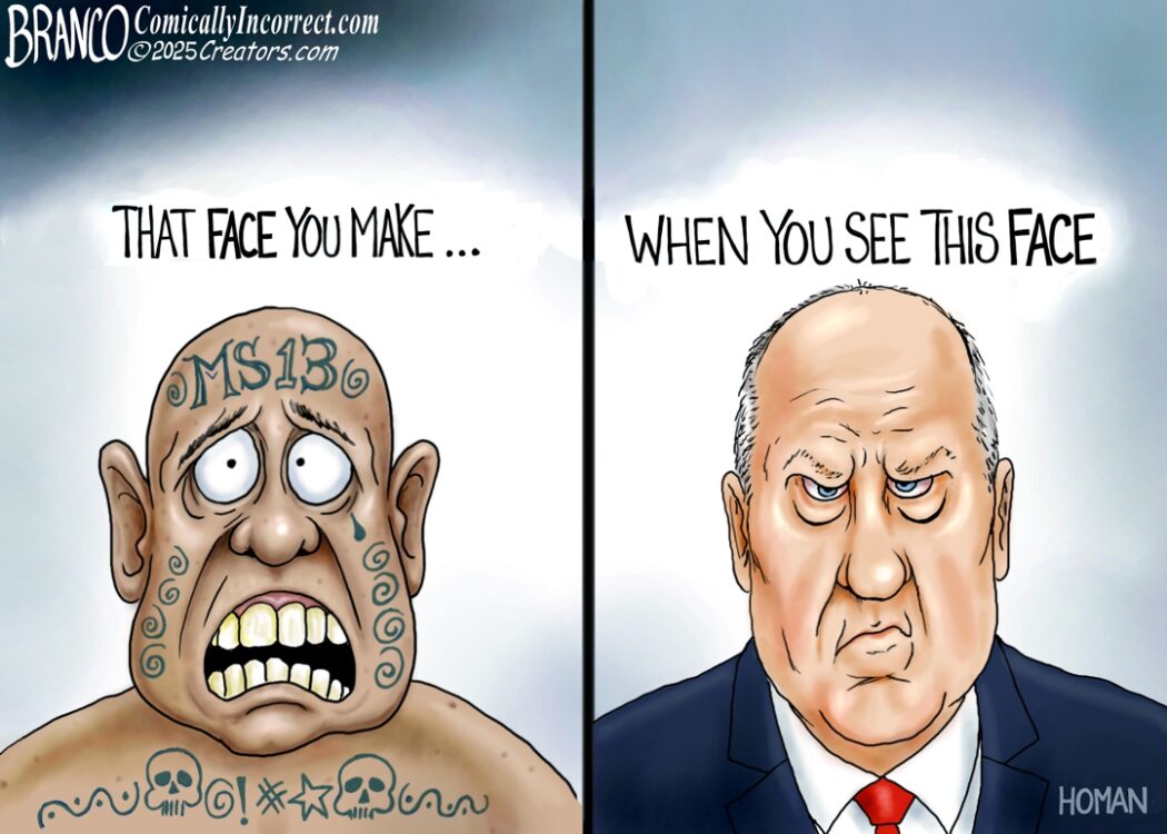 Homan Boarder Czar