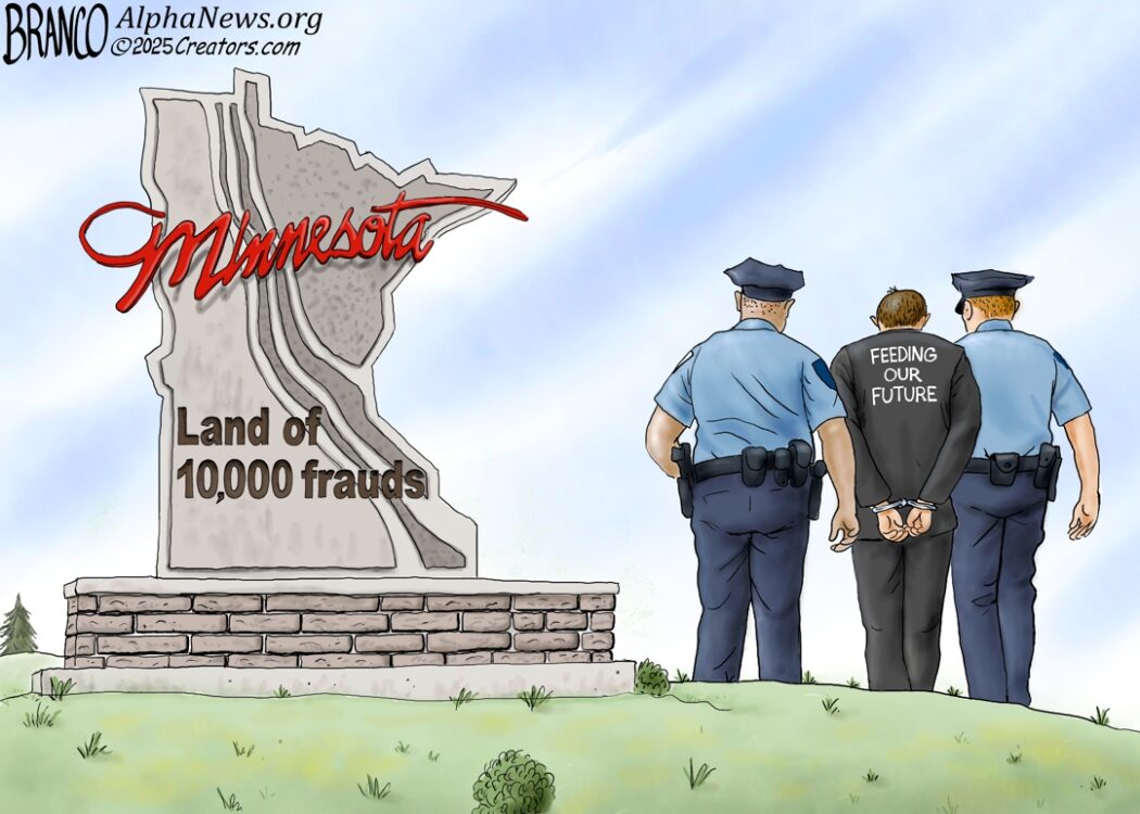 Minnesota Fraud schemes