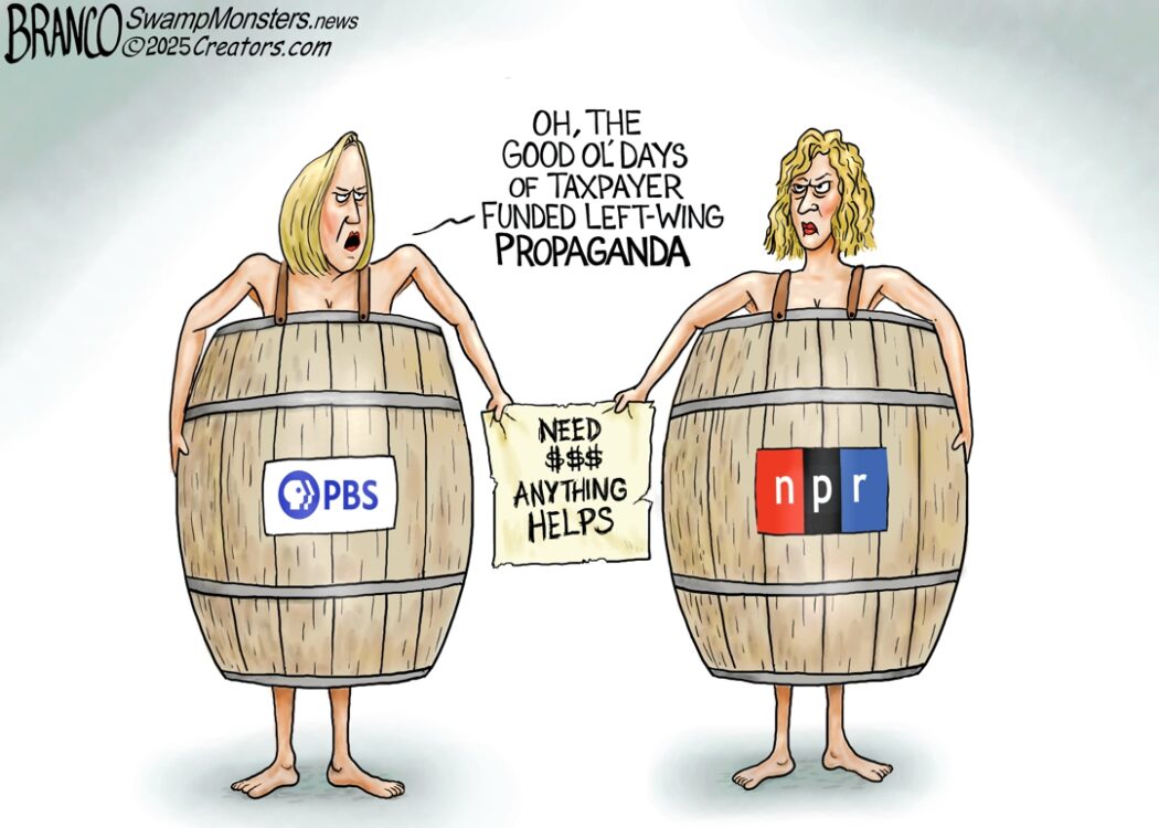 PBS NPR with TDS