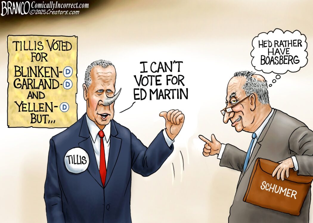 Thom Tillis the RINO Thom Tillis the RINO