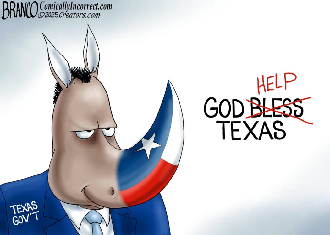 RINOS and Democrats Control Texas Government