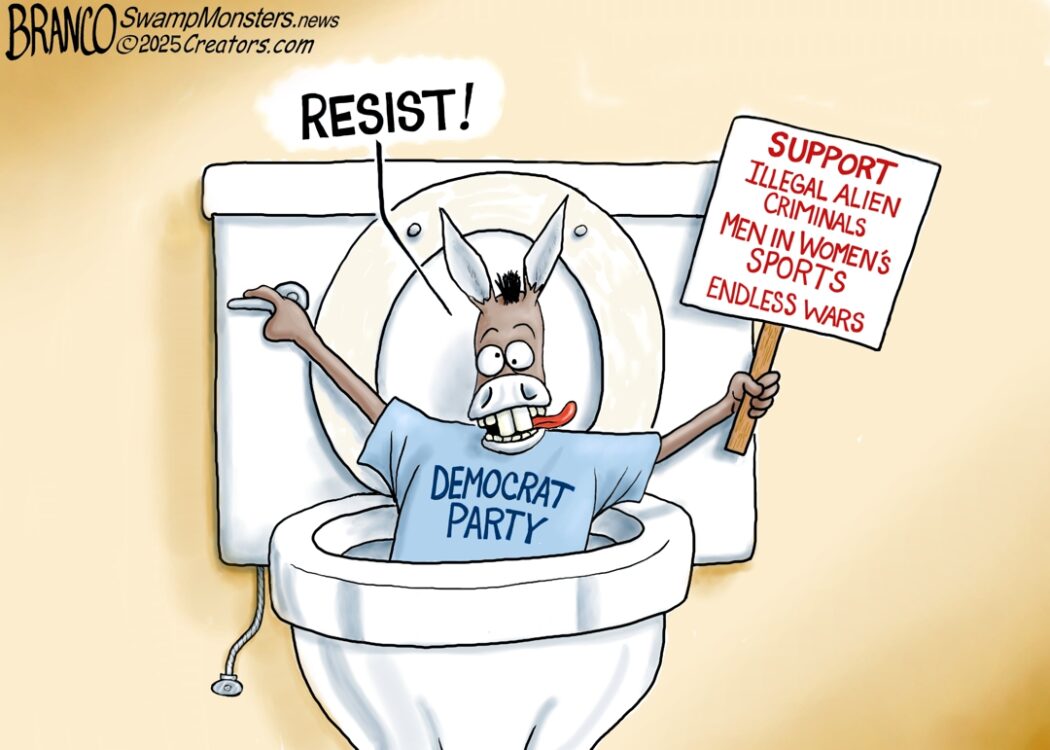 Democats Flushing themself