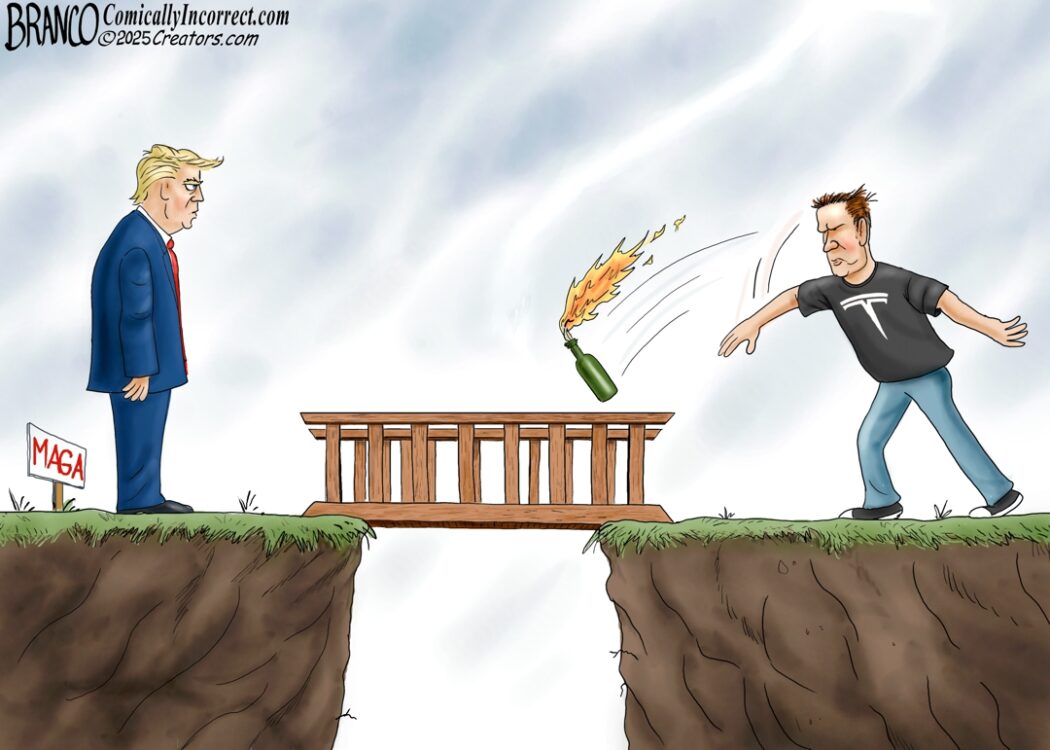 Elon Turns on Trump